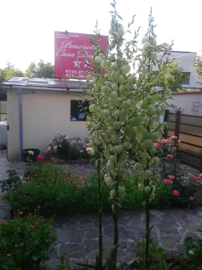 Pensiunea Casa Didina บาเคา ภายนอก รูปภาพ